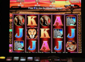 HB火博·体育官方正版手游电脑免费版